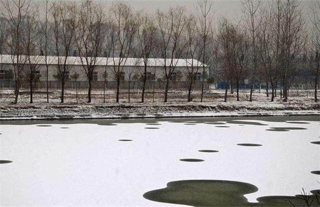 How to increase oxygen in fish ponds in winter