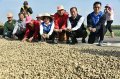 The purchase of peanuts has not yet been completed. Yunlin County Mayor Zhang Lishan called on the Council of Agriculture to continue the purchase.