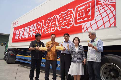 Pingtung pineapple for export to South Korea to the local supermarket channel fresh listing