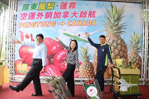 Pingtung pineapple and Lianwu are exported to Canada by air.