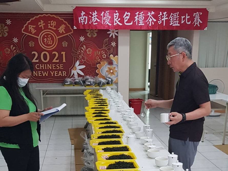 Now is the right time to drink Nangang Spring Tea Competition.