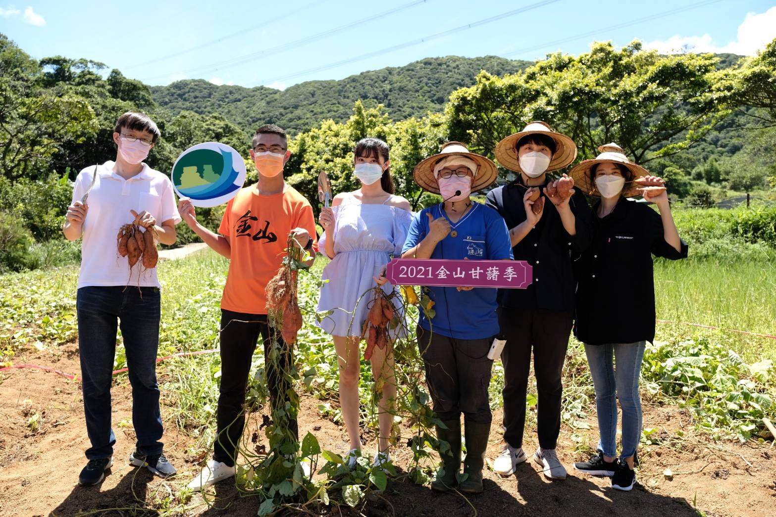 2021 Jinshan sweet potato season line to buy and run you buy sweet potato I give Gogoro!