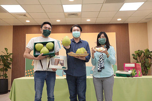 The Keelung Mausoleum is fashionable to adopt the whole tree and the whole family goes up the mountain to pick pomelo.