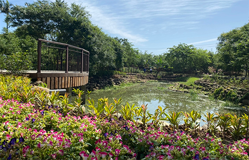 The reconstruction of Xinbei Wugu Ecological Pond has won the National Award for Outstanding Construction.