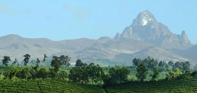 The first cup of black tea in spring, the flavor and history of tea gardens in Kenya, Africa