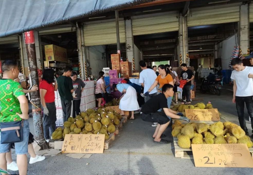 The durian market in Vietnam and Thailand is flooded. The price of imported durian has plummeted by 30-40% in a month.