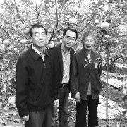 What is the monthly salary of 10,000 yuan with apple planting technology? go home to grow apples (photo)