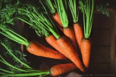 Carrot planting method: how to plant carrots? Control methods of carrot pests