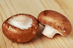 Mushroom processing; mushroom processing what kind of food is made of mushrooms? What are the processed mushroom foods?