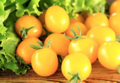 Summer sun tomato introduction, summer sun tomato price summer sun tomato is genetically modified