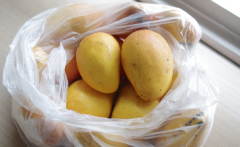 The characteristics of the new mango variety Tainong No.1 is the sugar content of the mango tasty?
