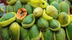 Introduction of papaya varieties Hongling papaya and small fruit papaya, what is the cultivation temperature of small fruit papaya