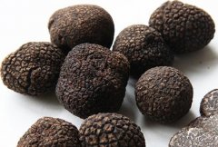 The price of fresh black truffle, how much is the price of Yunnan truffle per jin? Why is it so expensive?