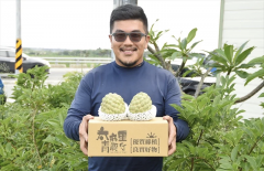 Green Farmer Li Junyi Friendly Environment Grass Cultivation Successful Marketing of Organic Sakyamuni in Taitung
