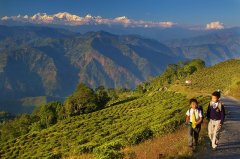 Zero-tariff imports from Nepal become a major concern for Darjeeling tea and edible oil industry