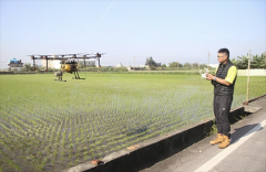The first bucket of money invested in drone spraying will be paid back in the first year.