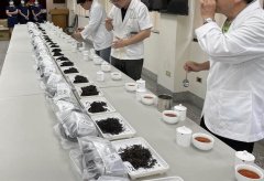 Taiwan Xinbei honey-scented black tea won the first prize in the three Gorges Century Tea Factory